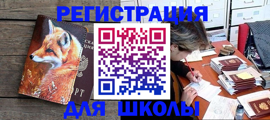 где прописаться в Павловске